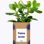 Petite Palme - Plante personnalisable