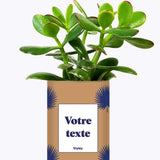 Petite Palme - Plante personnalisable