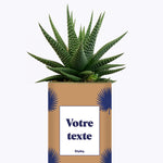 Petite Palme - Plante personnalisable