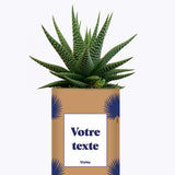 Petite Palme - Plante personnalisable