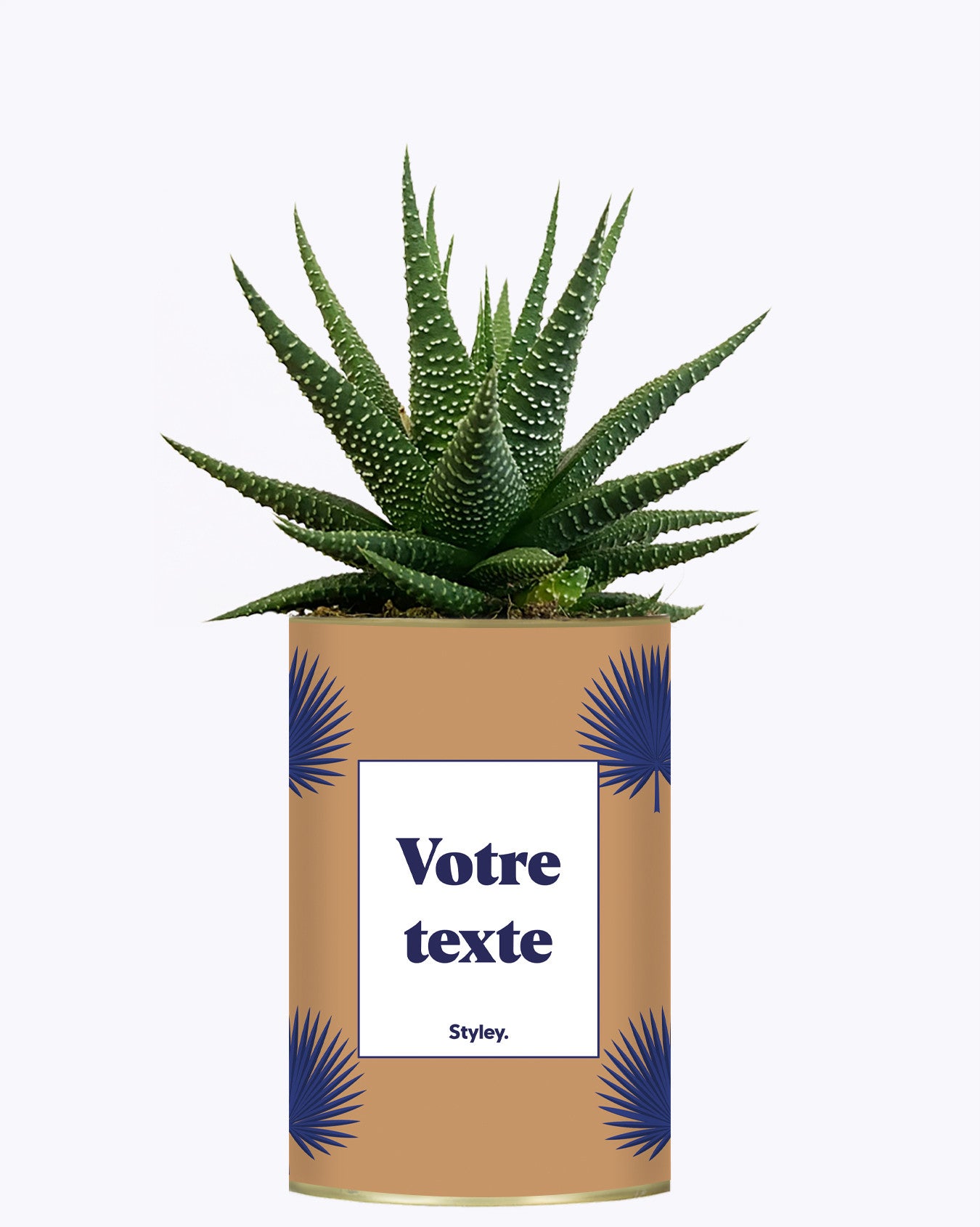 Petite Palme - Plante personnalisable