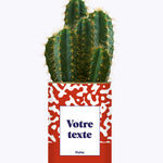 Pattern rouge - Plante personnalisable