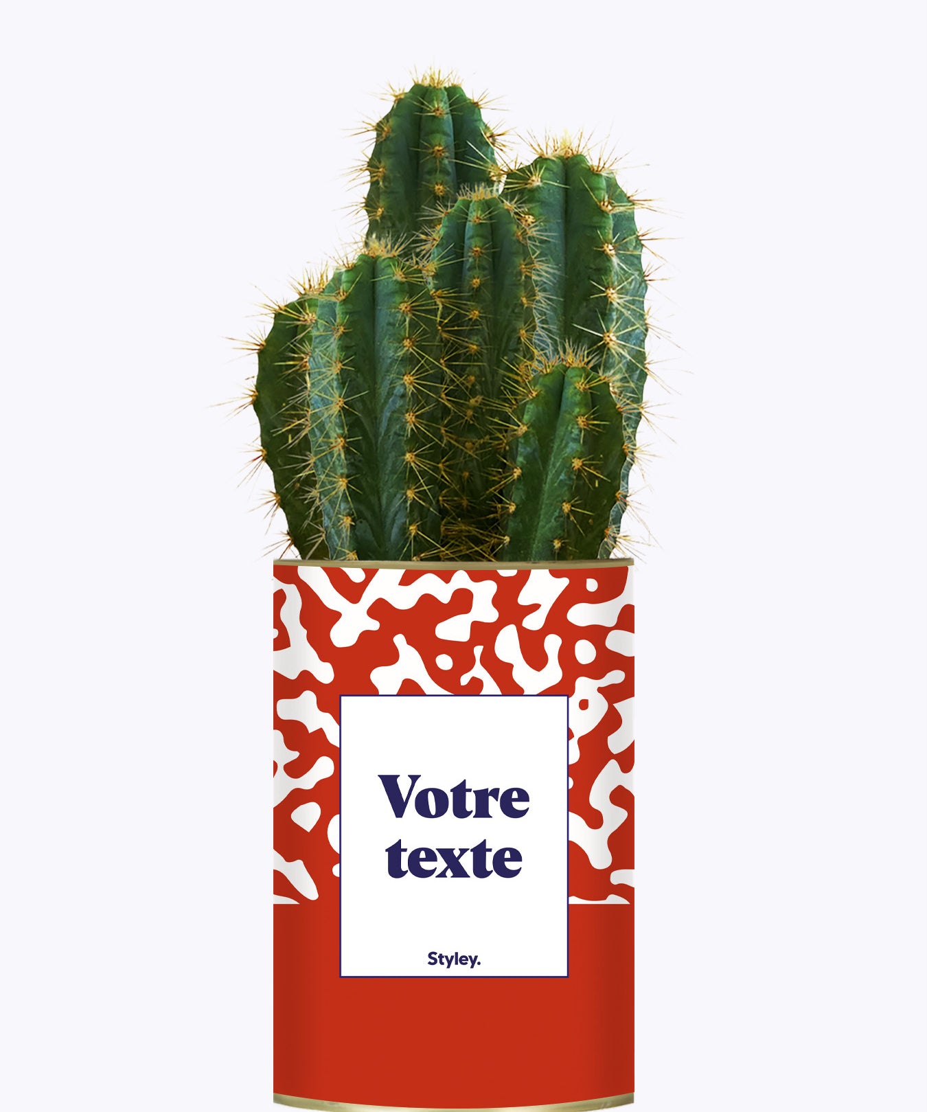 Pattern rouge - Plante personnalisable