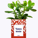 Pattern rouge - Plante personnalisable