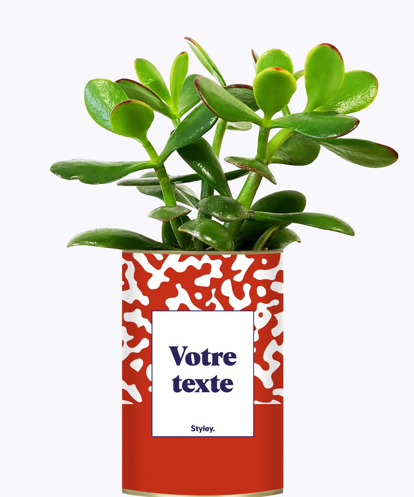 Pattern rouge - Plante personnalisable