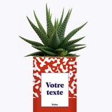 Pattern rouge - Plante personnalisable
