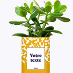 Pattern jaune - Plante personnalisable