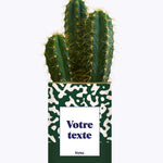 Pattern vert - Plante personnalisable