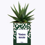 Pattern vert - Plante personnalisable