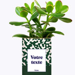 Pattern vert - Plante personnalisable