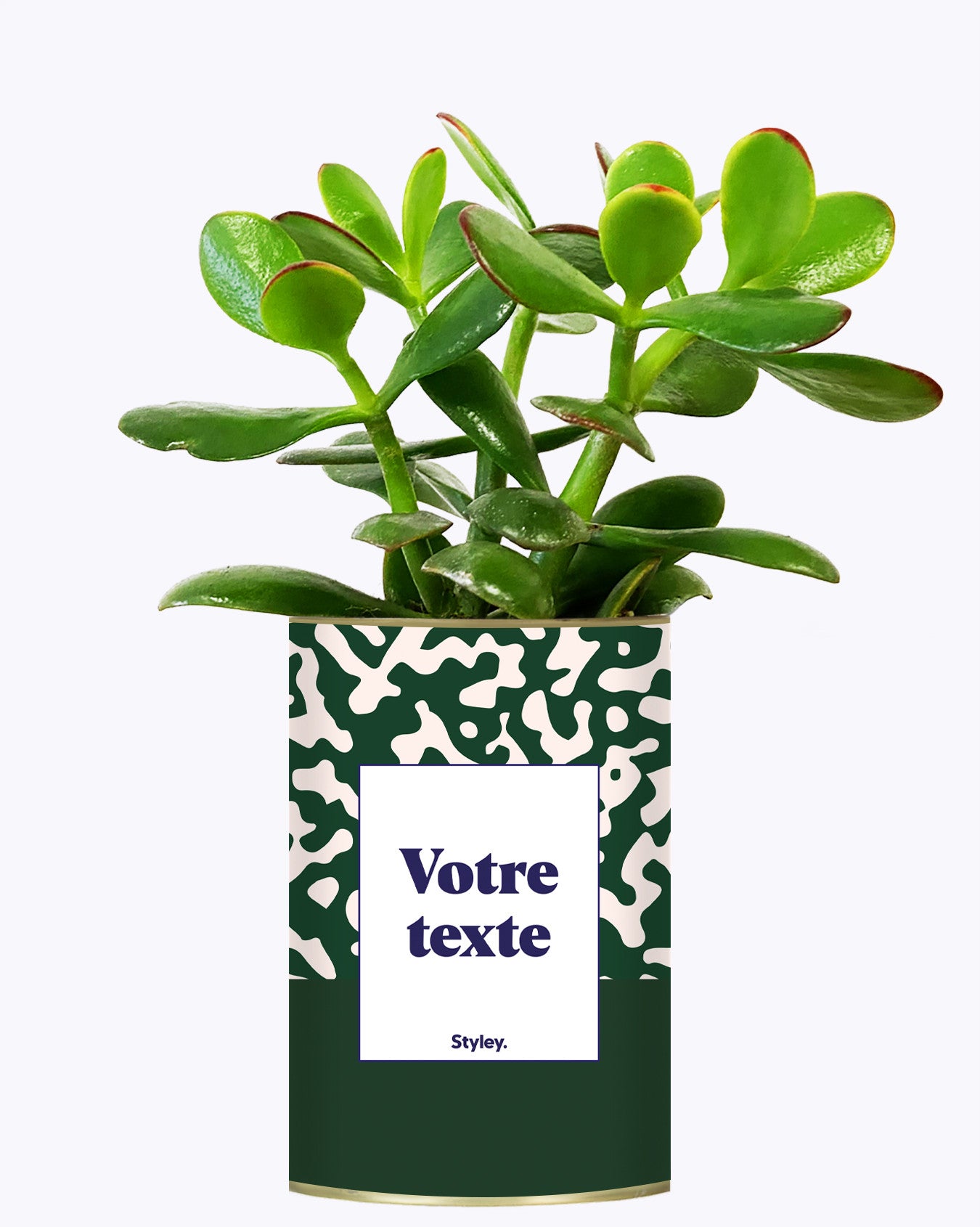 Pattern vert - Plante personnalisable