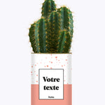 Terrazzo Rose - Plante personnalisable