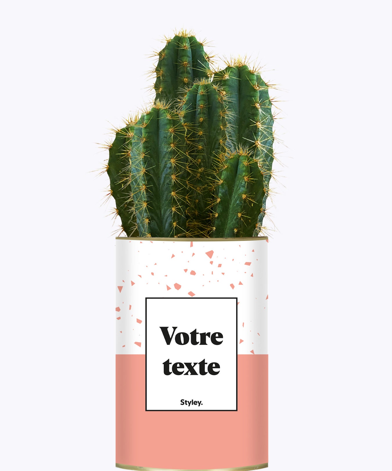 Terrazzo Rose - Plante personnalisable
