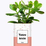 Terrazzo Rose - Plante personnalisable