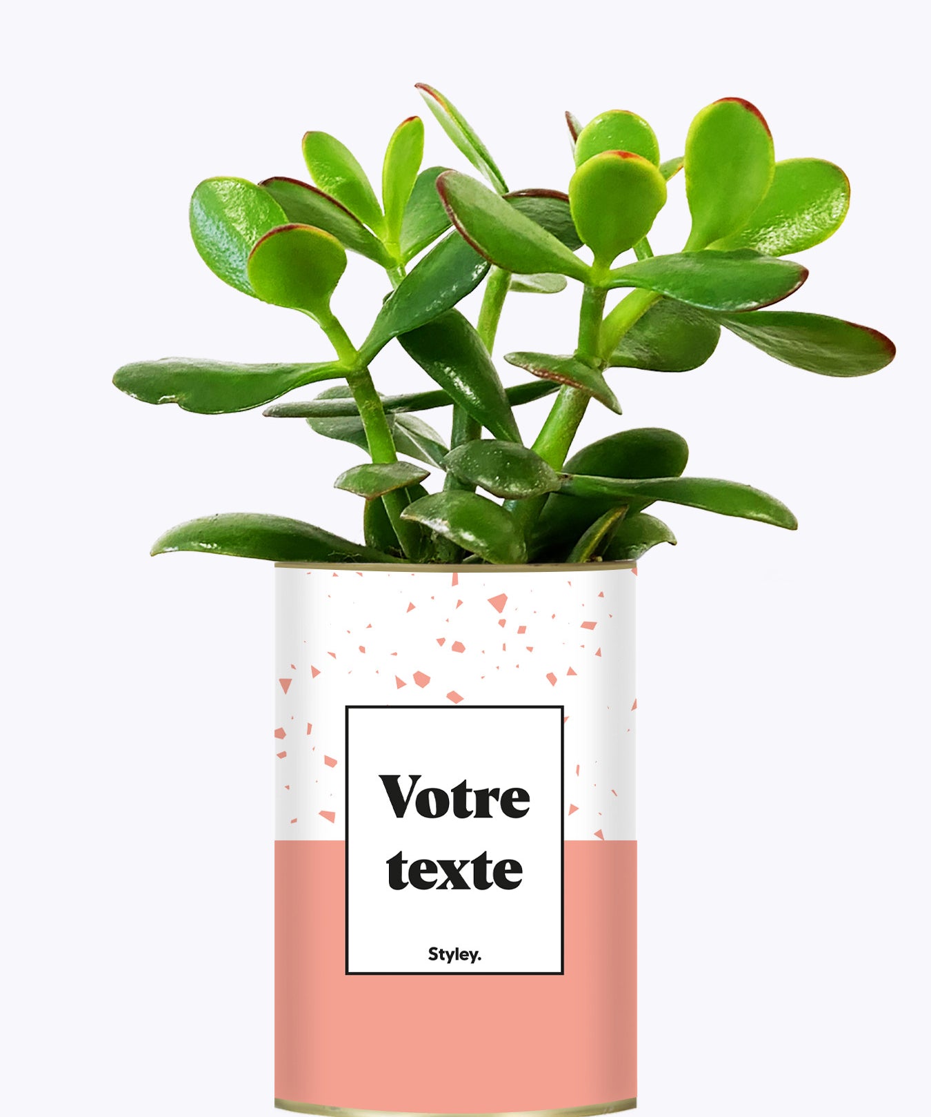 Terrazzo Rose - Plante personnalisable
