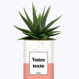 Terrazzo Rose - Plante personnalisable