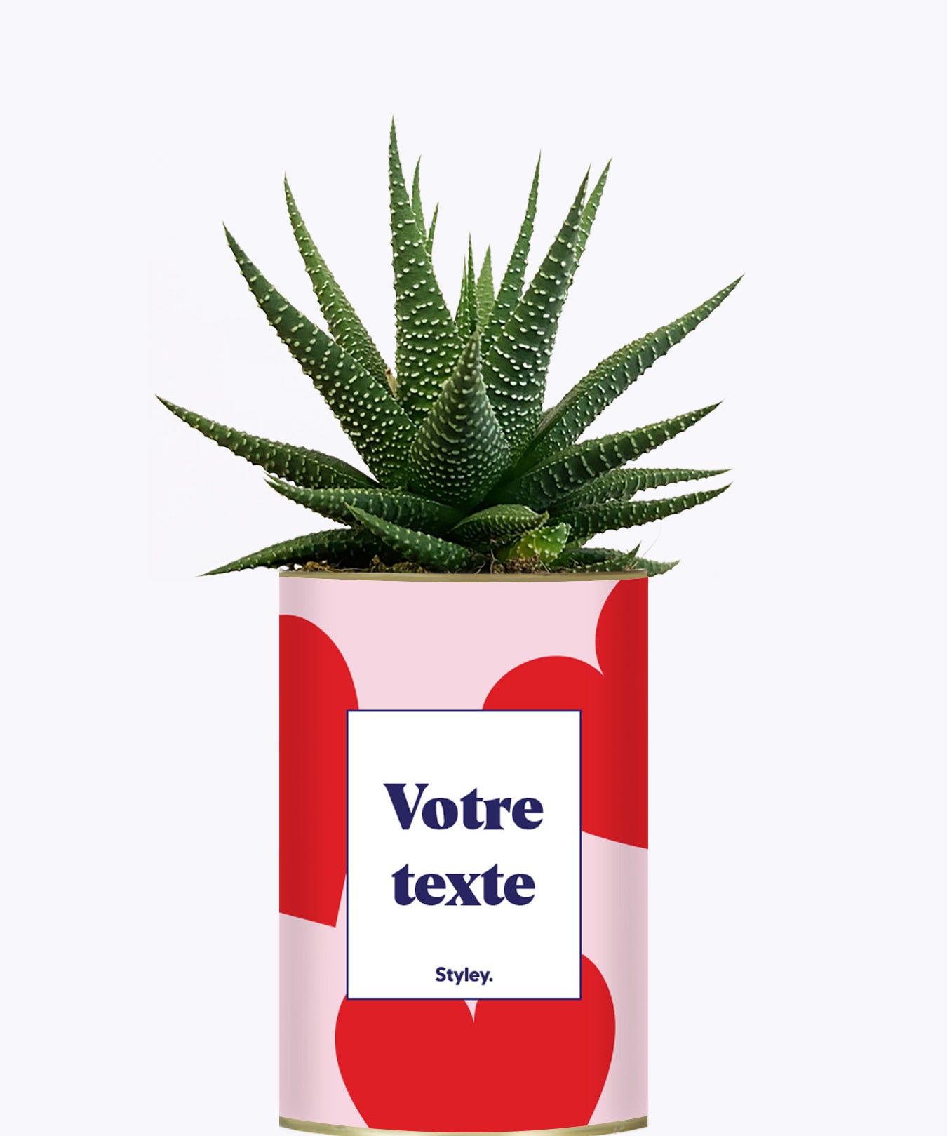 Beauté - Plante personnalisable