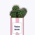 Rayures roses - Plante personnalisable