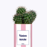 Rayures roses - Plante personnalisable