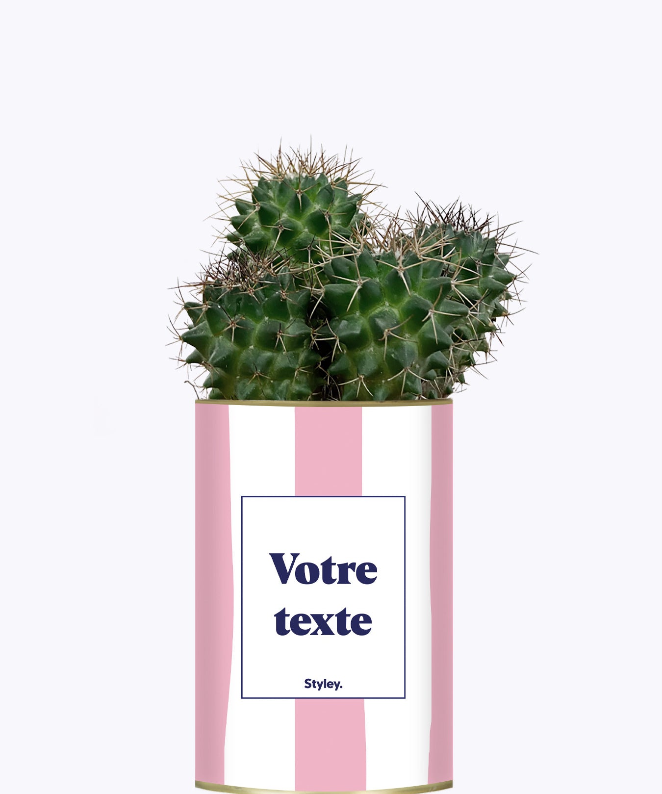 Rayures roses - Plante personnalisable