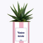 Rayures roses - Plante personnalisable