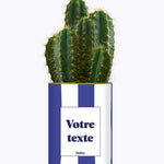 Rayures bleues - Plante personnalisable