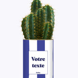 Rayures bleues - Plante personnalisable