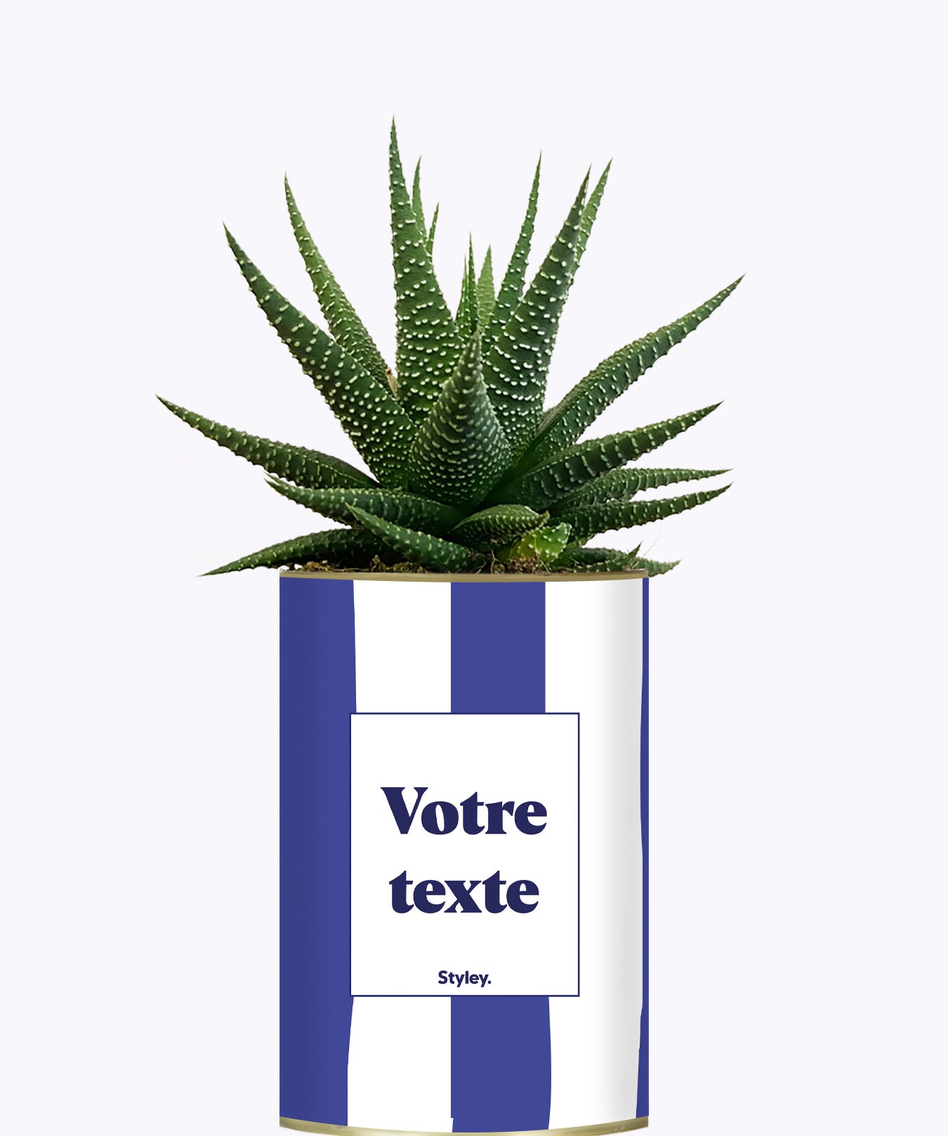 Rayures bleues - Plante personnalisable