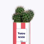 Rayures corail - Plante personnalisable