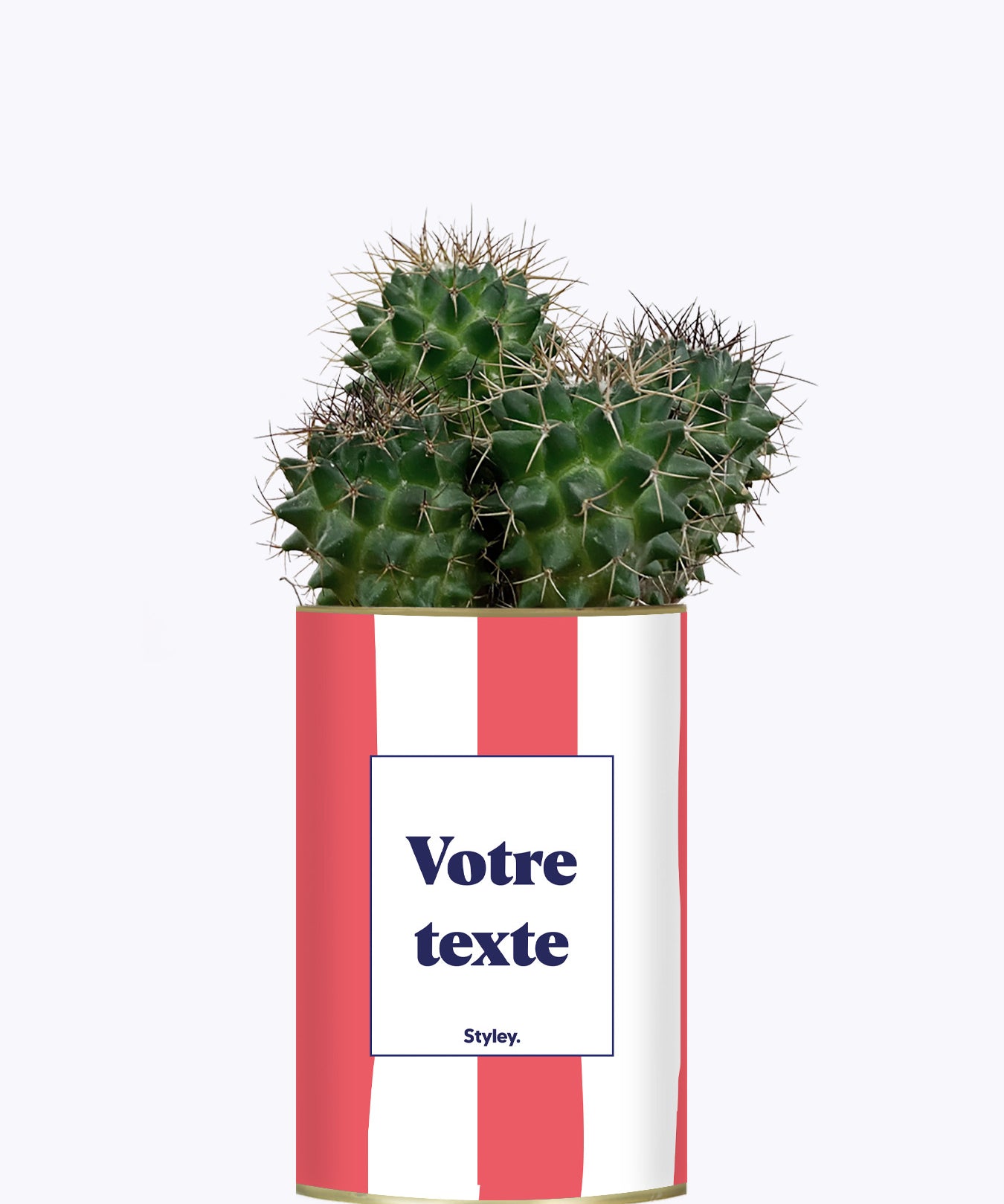 Rayures corail - Plante personnalisable