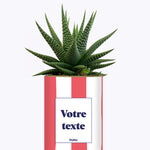 Rayures corail - Plante personnalisable