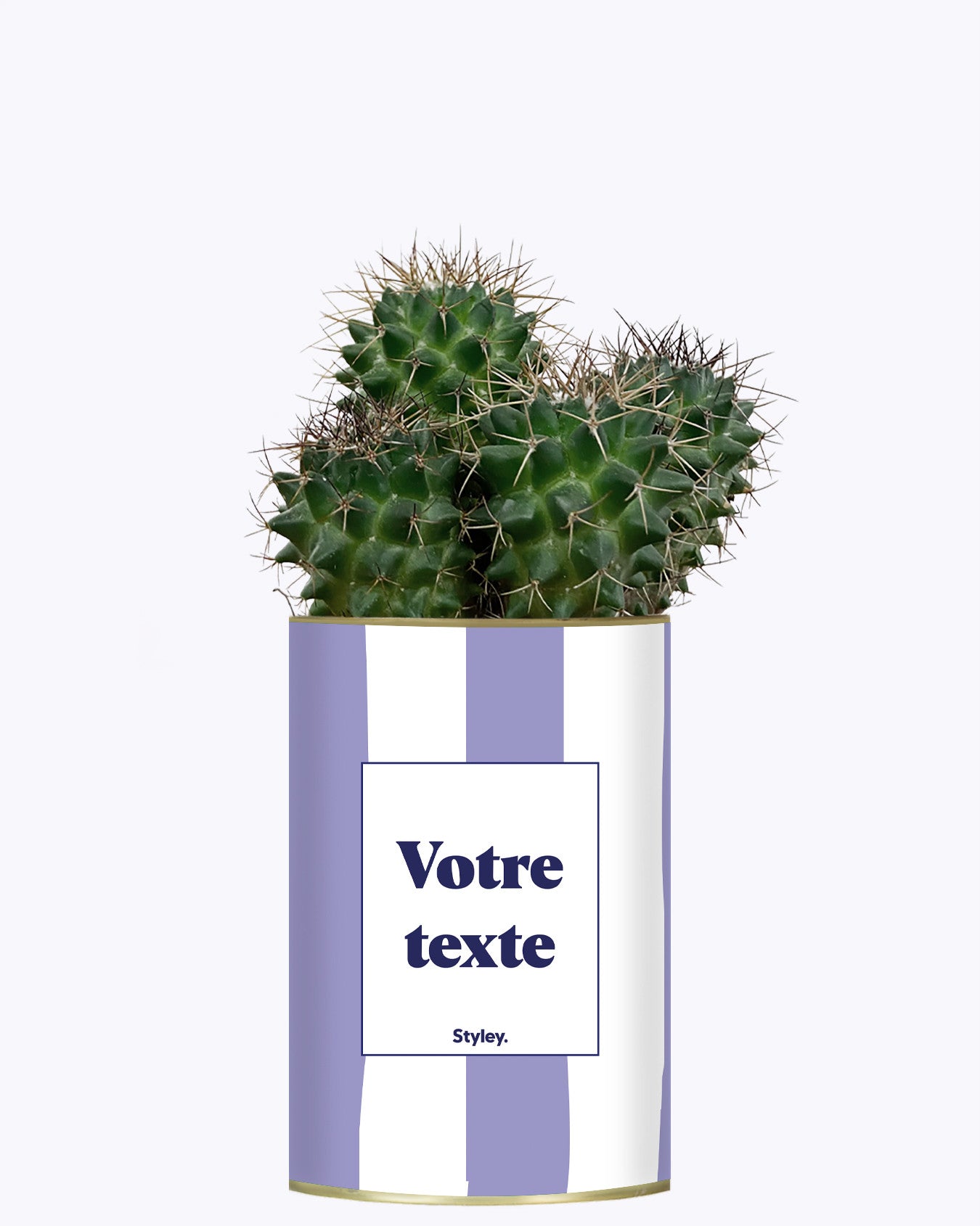 Rayures Parmes - Plante personnalisable