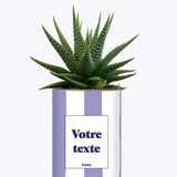Rayures Parmes - Plante personnalisable