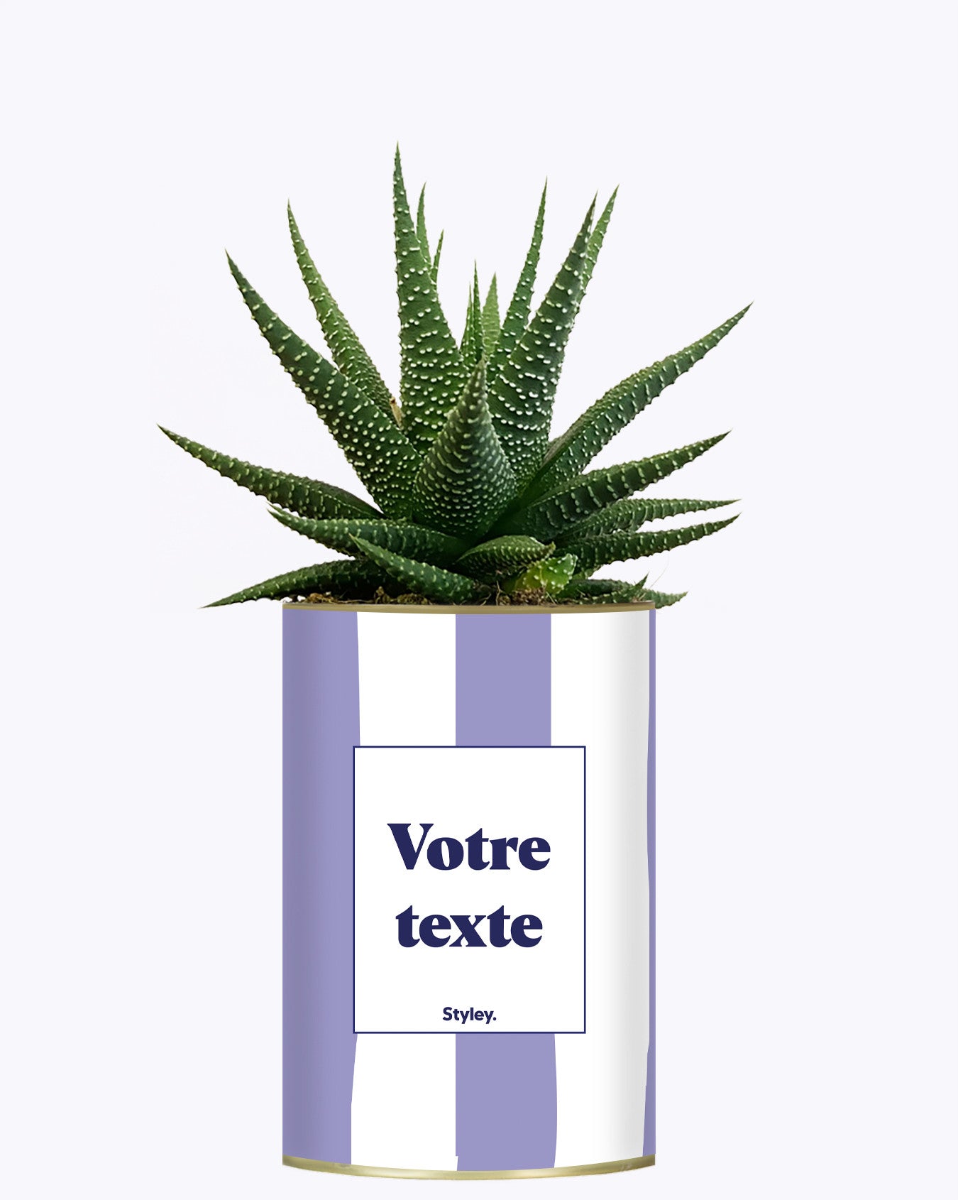 Rayures Parmes - Plante personnalisable