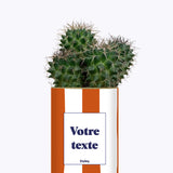 Rayures Terracotta - Plante personnalisable