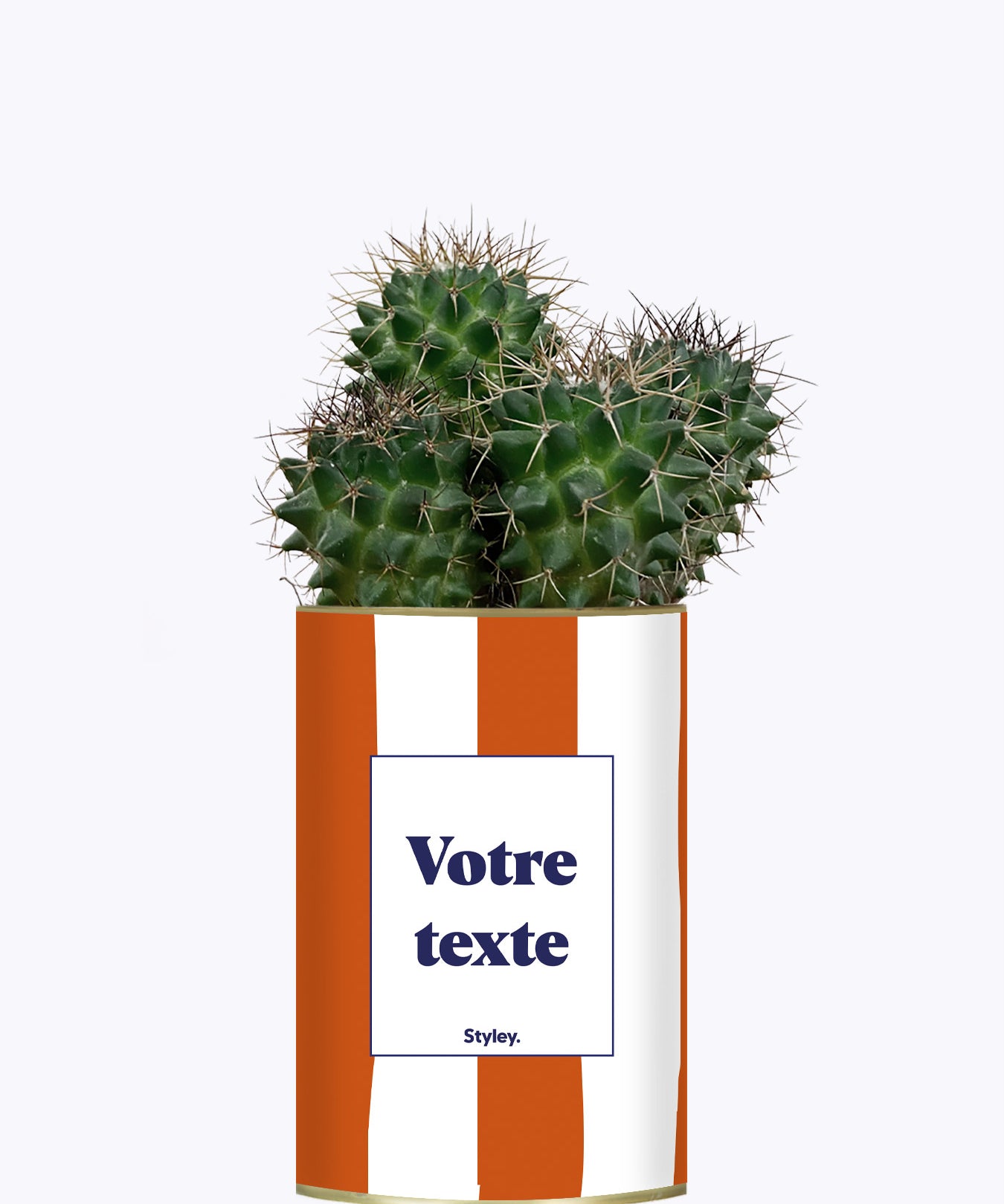 Rayures Terracotta - Plante personnalisable