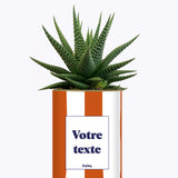 Rayures Terracotta - Plante personnalisable