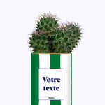 Rayures Vertes - Plante personnalisable