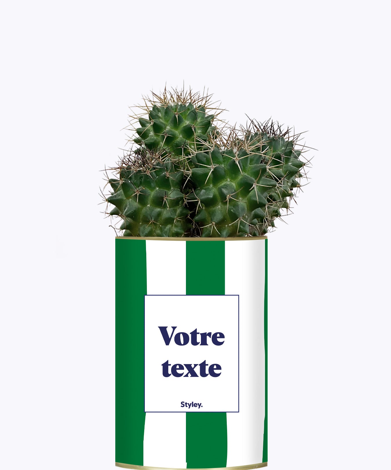 Rayures Vertes - Plante personnalisable