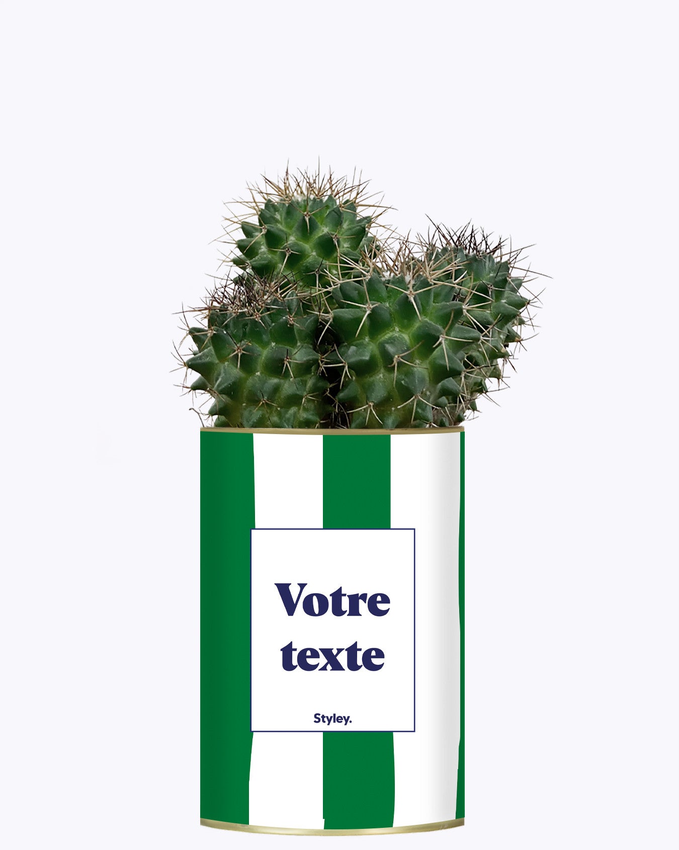 Rayures Vertes - Plante personnalisable