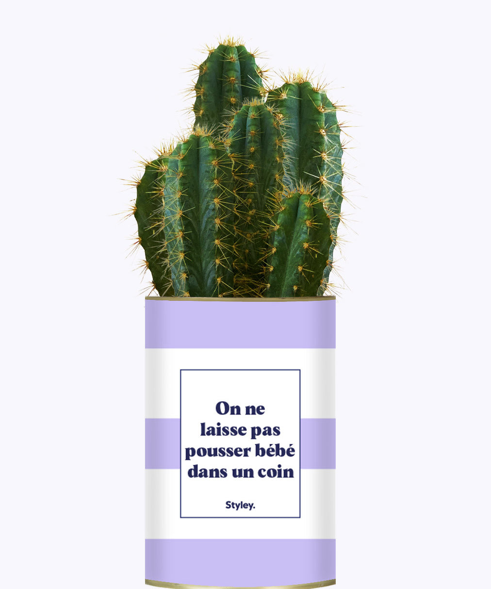 On ne laisse pas pousser bébé dans un coin - Cactus