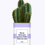 On ne laisse pas pousser bébé dans un coin - Cactus