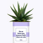 On ne laisse pas pousser bébé dans un coin - Cactus