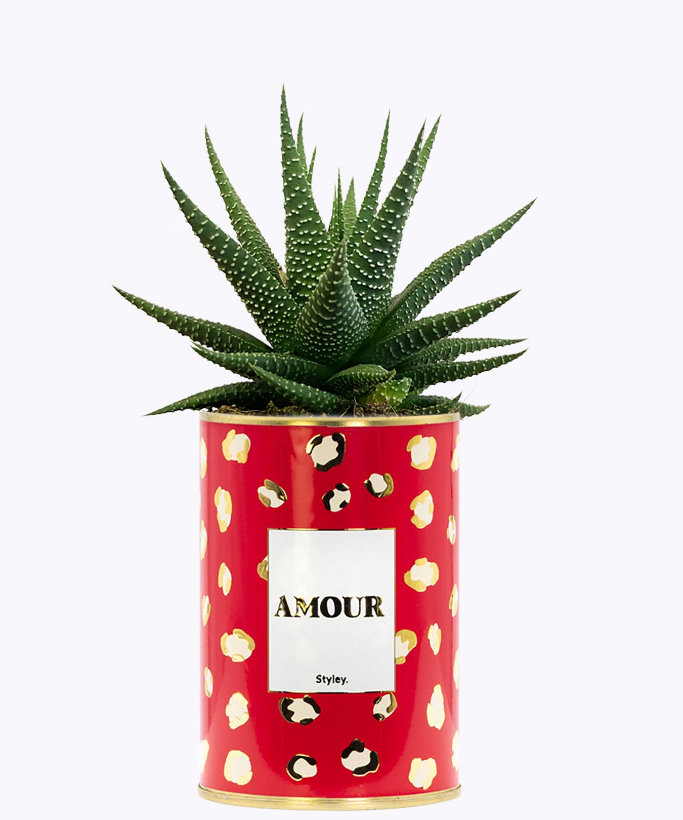 Amour - Cactus - Finitions gold