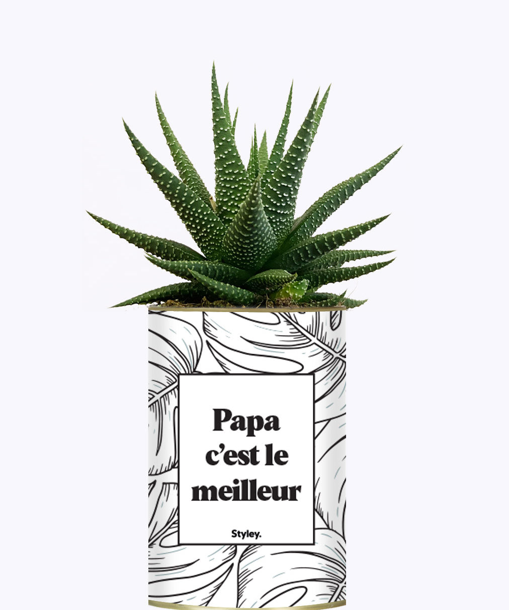 Papa c'est le meilleur - Cactus