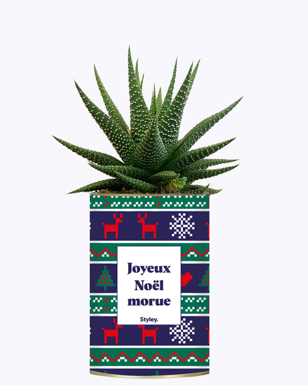 Joyeux Noël Morue - Cactus