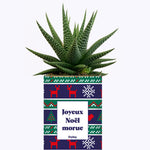 Joyeux Noël Morue - Cactus