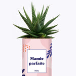 Mamie parfaite - Cactus