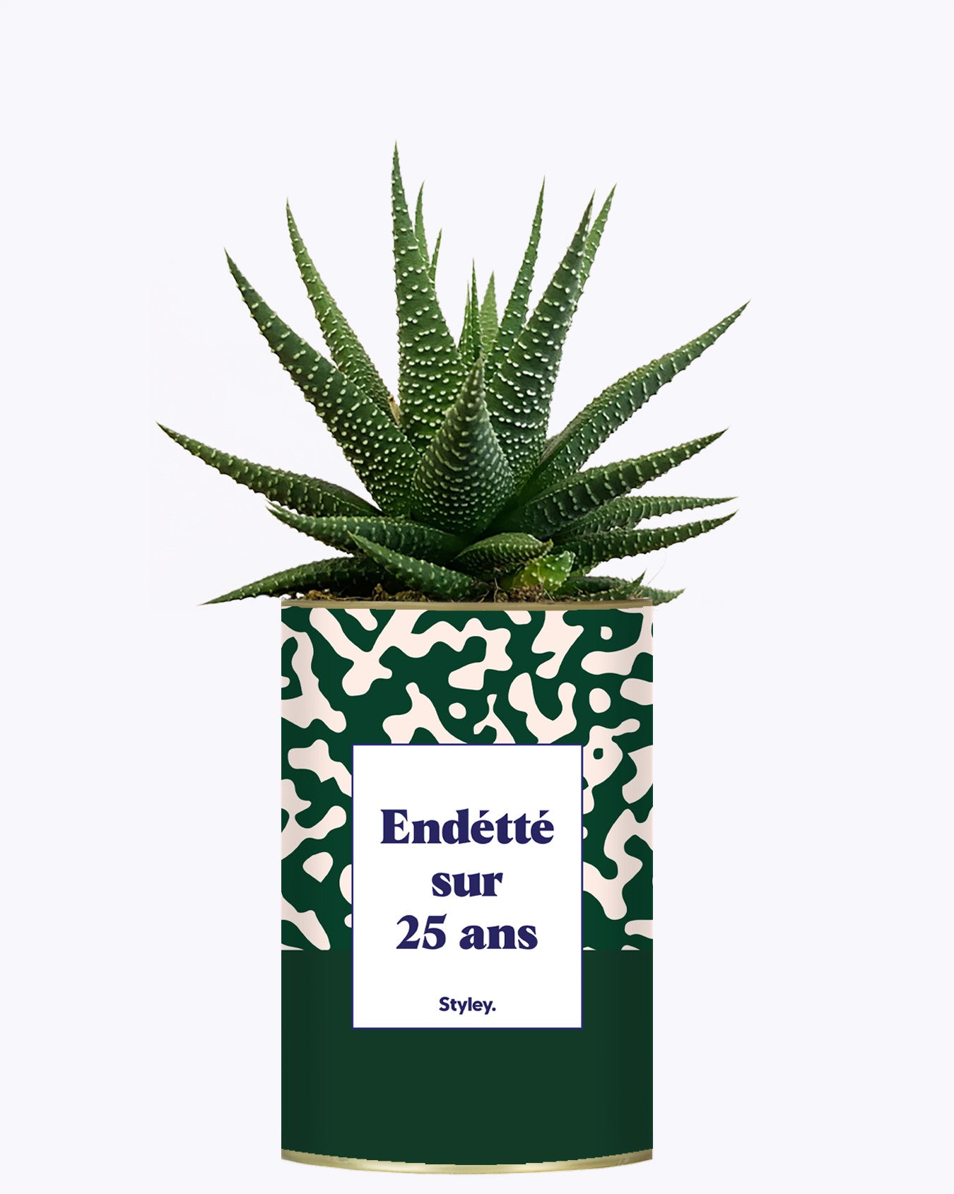 Endetté sur 25 ans - Cactus