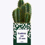 Endetté sur 25 ans - Cactus